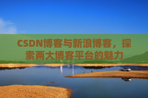 CSDN博客与新浪博客，探索两大博客平台的魅力